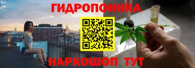 твердый Бийск