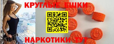 твердый Бийск
