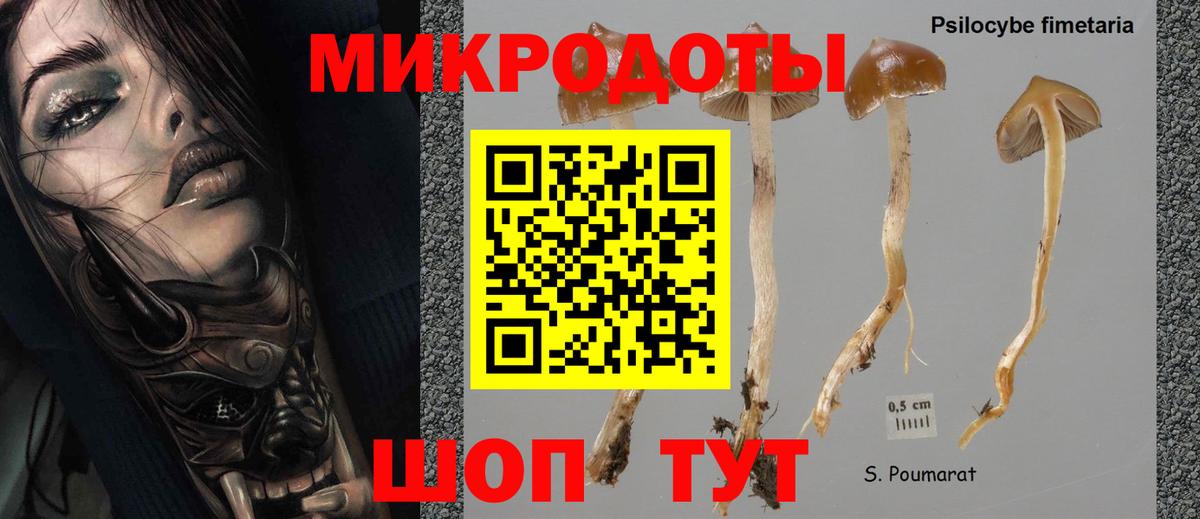 Галлюциногенные грибы ЛСД  Галлюциногенные грибы мухоморы  Камышин  Вход с VPN 